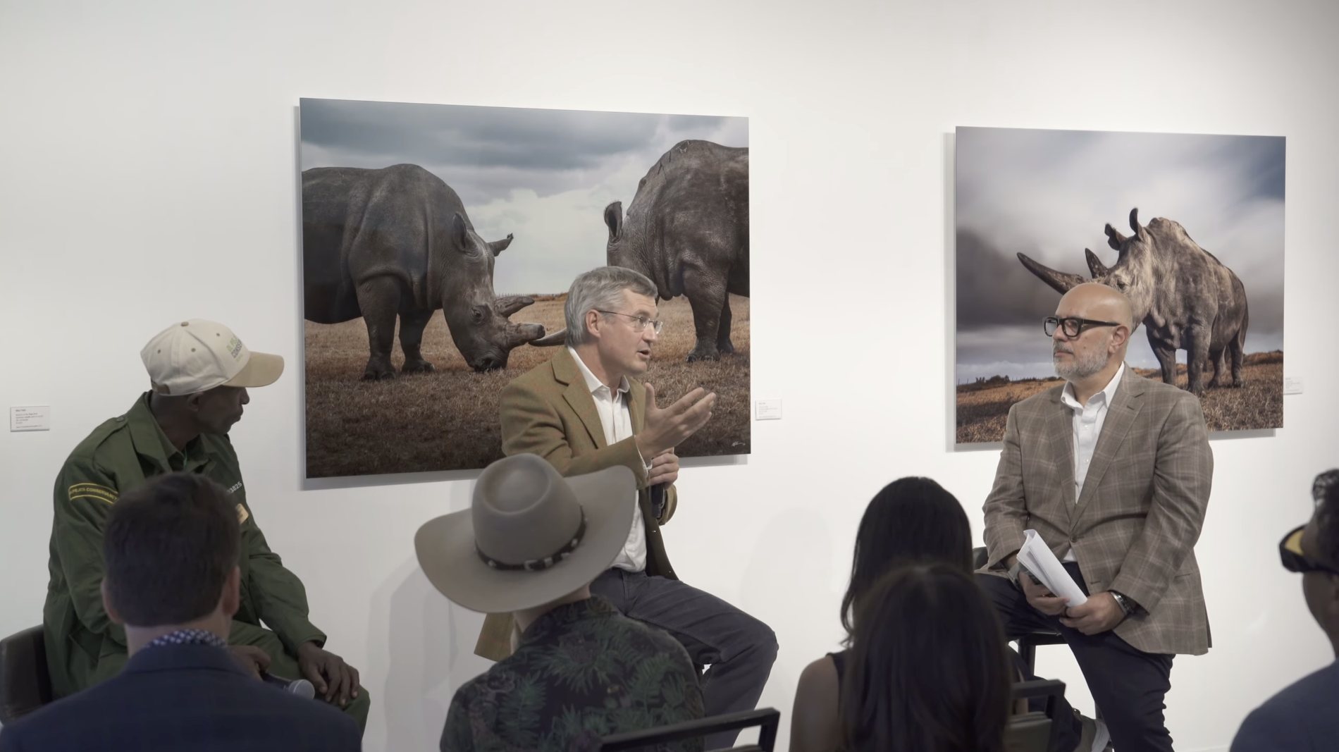 Gallery exhibition